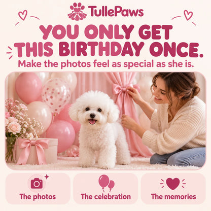 tullepaws agitation