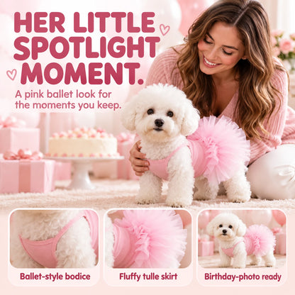 TullePaws ballet dress shown on a small white dog at a birthday celebration